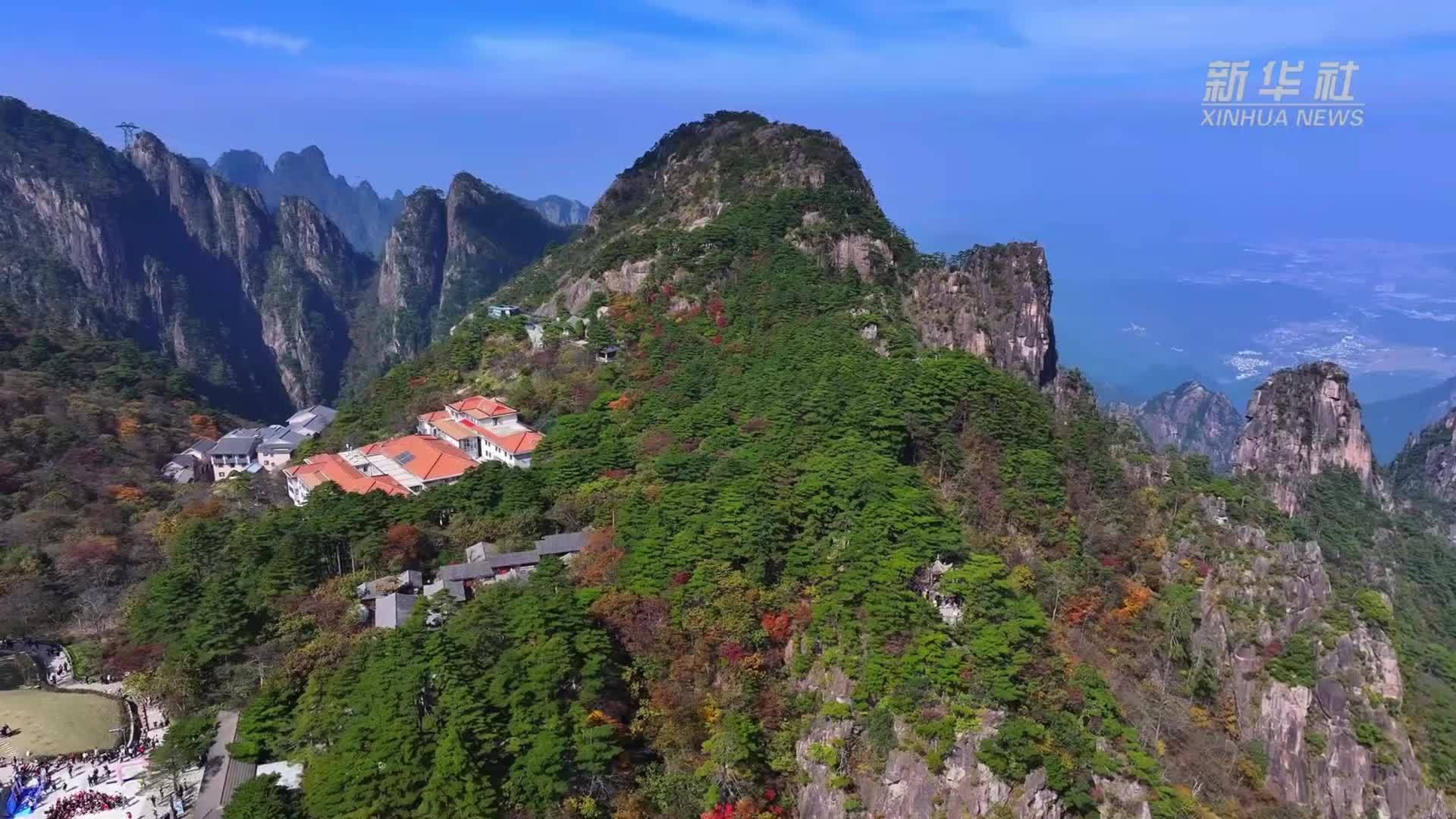 安徽黄山：秋色缤纷醉游人