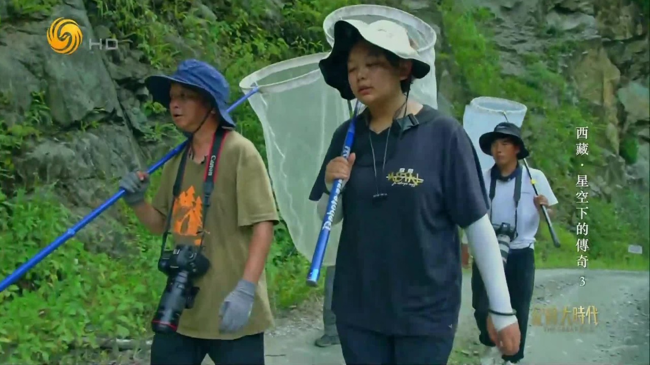 当墨脱雨林的蝴蝶扇动翅膀，藏历里的“春醒蝶至”就是精准的野外调查坐标