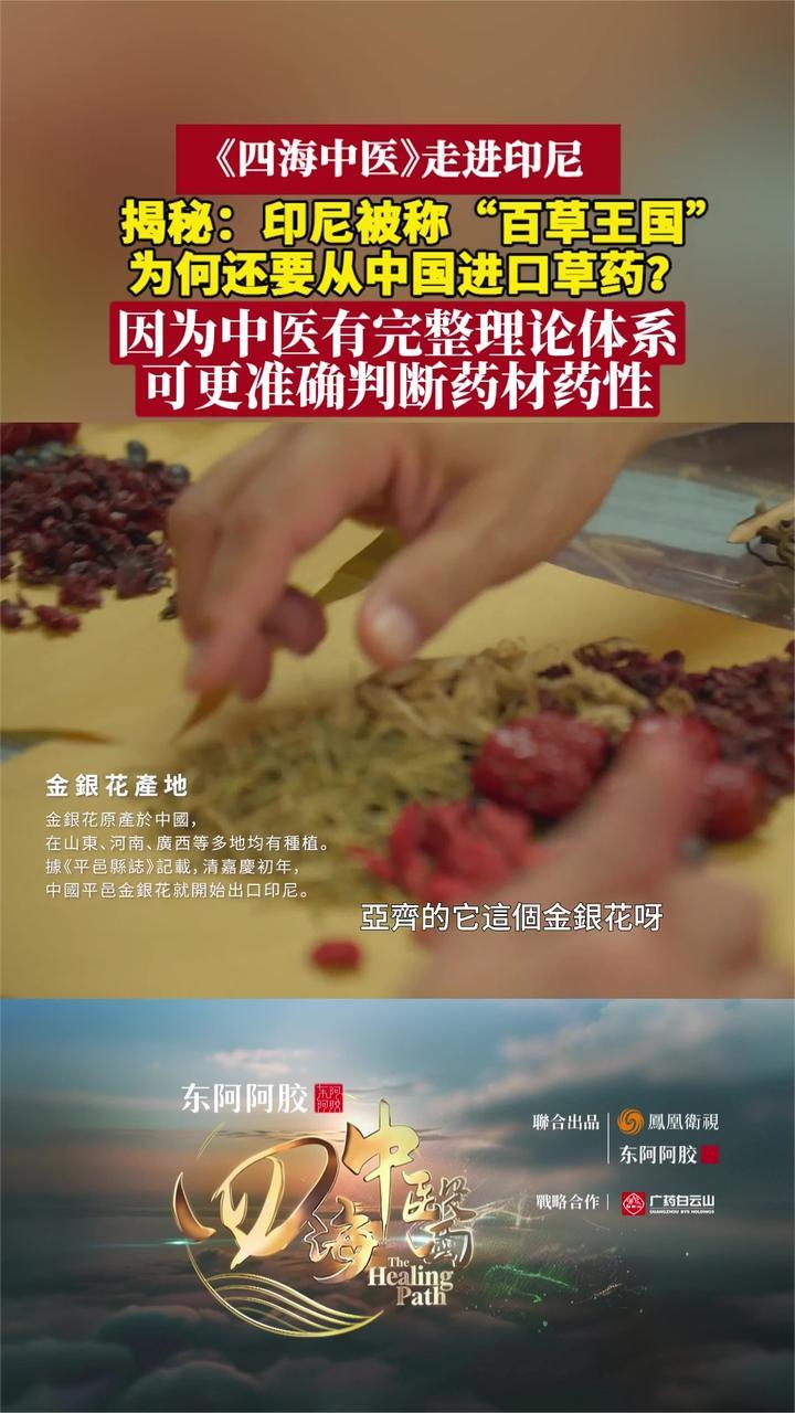 “百草王国”印尼为何从中国进口草药？对话印尼中医学会委员