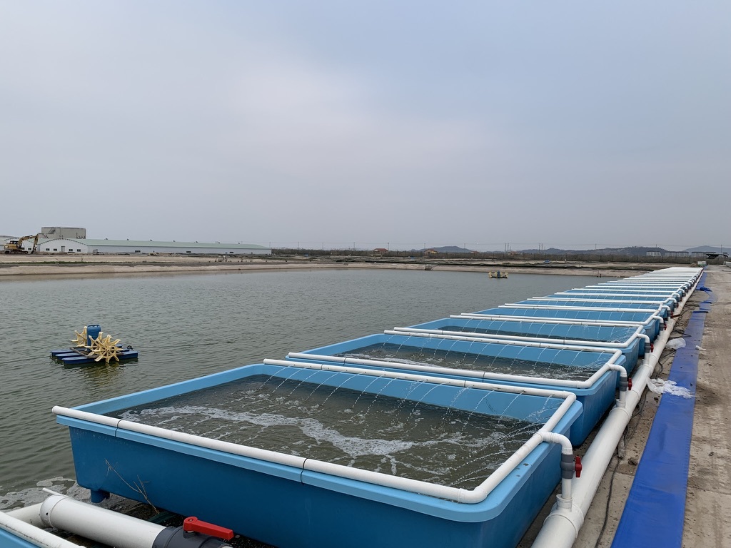 科技赋能乡村振兴显成效!万里学院“蓝色粮仓”案例入选省级典型