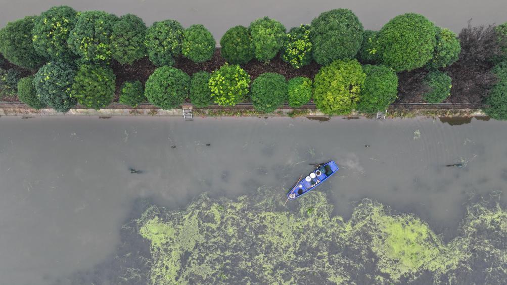 2025年10月30日，蟹农在湖南益阳大通湖区河坝镇捕捞大闸蟹（无人机照片）。新华社记者 陈振海 摄