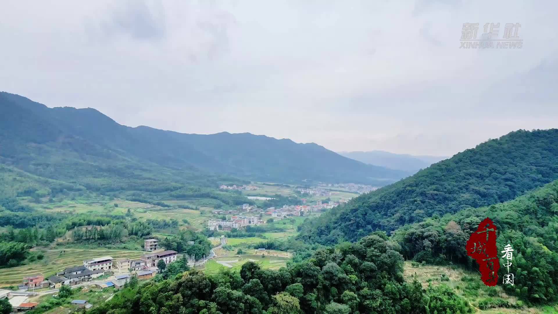 千城百县看中国｜福建永定：花生喜丰收 农户乐开颜