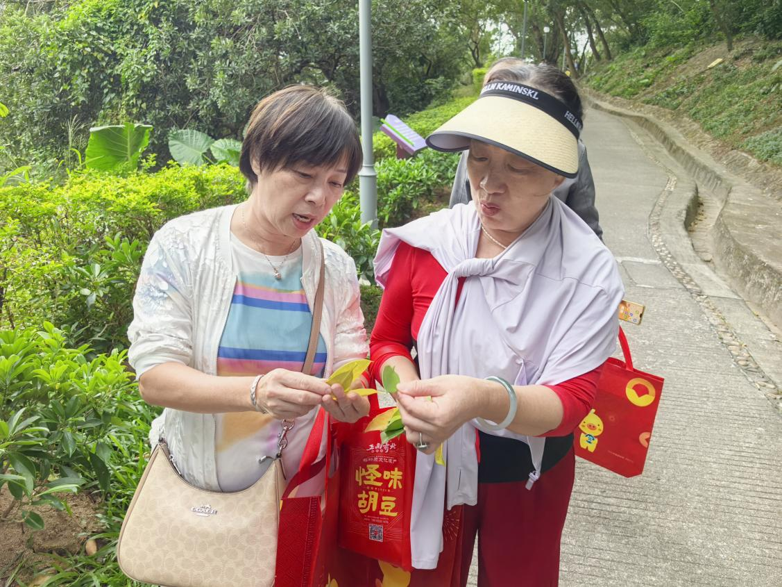 （自然拾趣，找不同树叶）