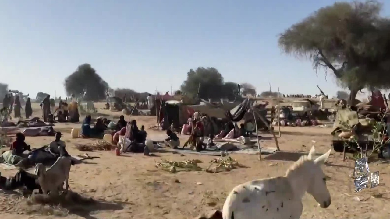 当前全球粮食体系存在哪些根本性问题？联合国前高级官员解读