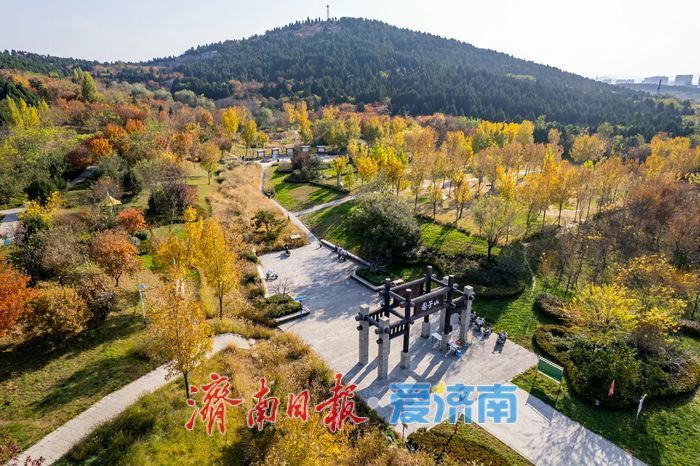 登高赏秋正当时!围子山郊野公园“绚烂”出圈,转身直达“枫”景线