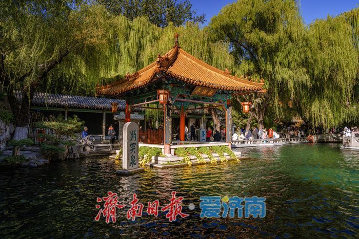 趵突泉金秋菊展盛装绽放，游客市民共赏千菊争艳