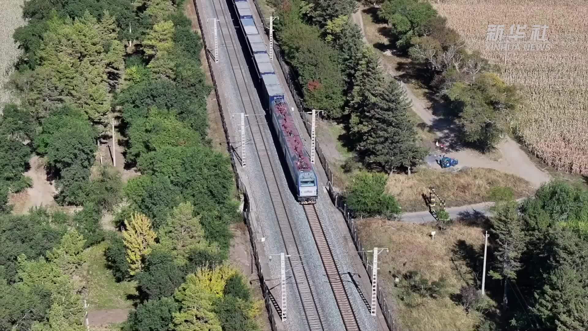 吉林：百余条铁路粮食物流专用线畅通“北粮南运”通道