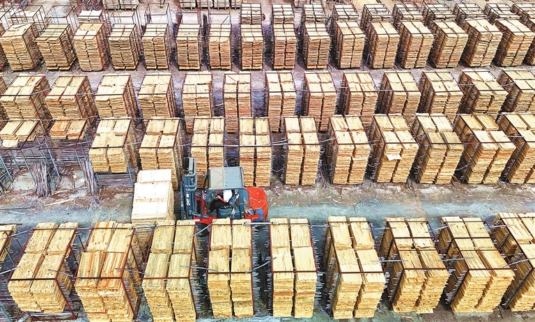 会昌县：板材晾晒忙（图）