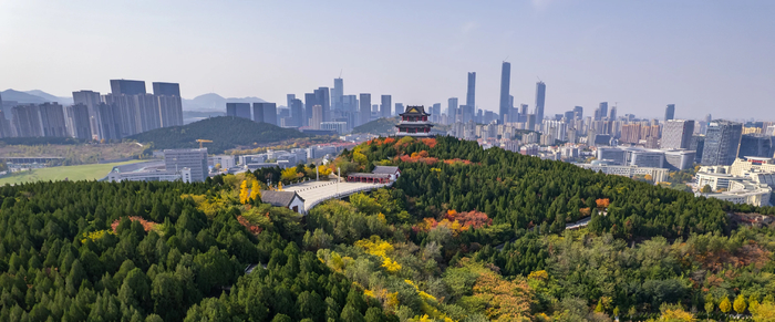 秋色正浓，济南大山坡公园变身“城市调色盘”