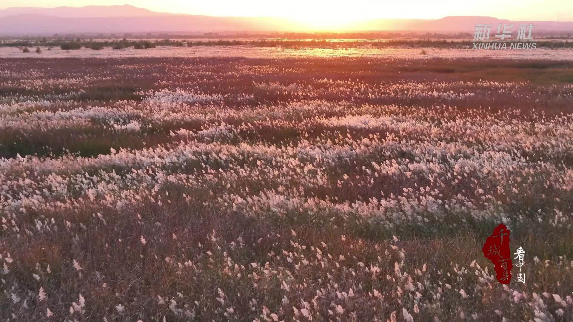 千城百县看中国｜内蒙古：来乌海赏斑斓秋色