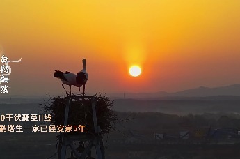 航拍电网（江西）