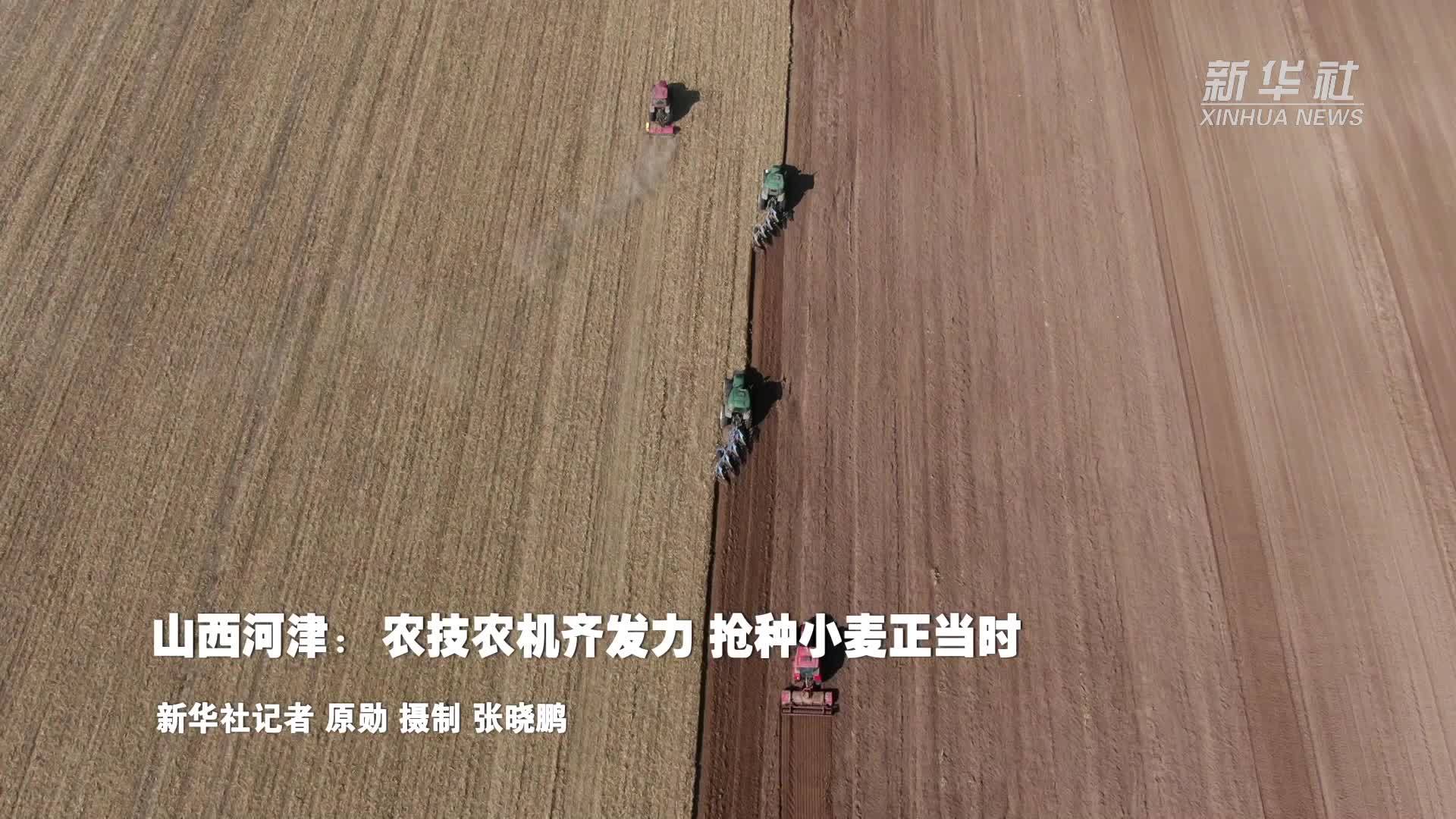 山西河津：农技农机齐发力 抢种小麦正当时