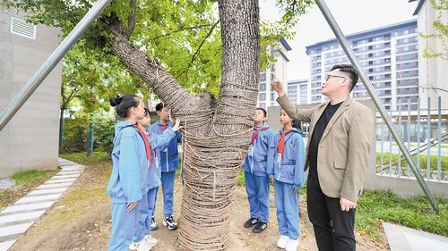 10月16日,在雄安史家胡同小学,雄安新区教育局工作人员正在为学生们介绍古树相关情况。本报见习记者 李畅摄