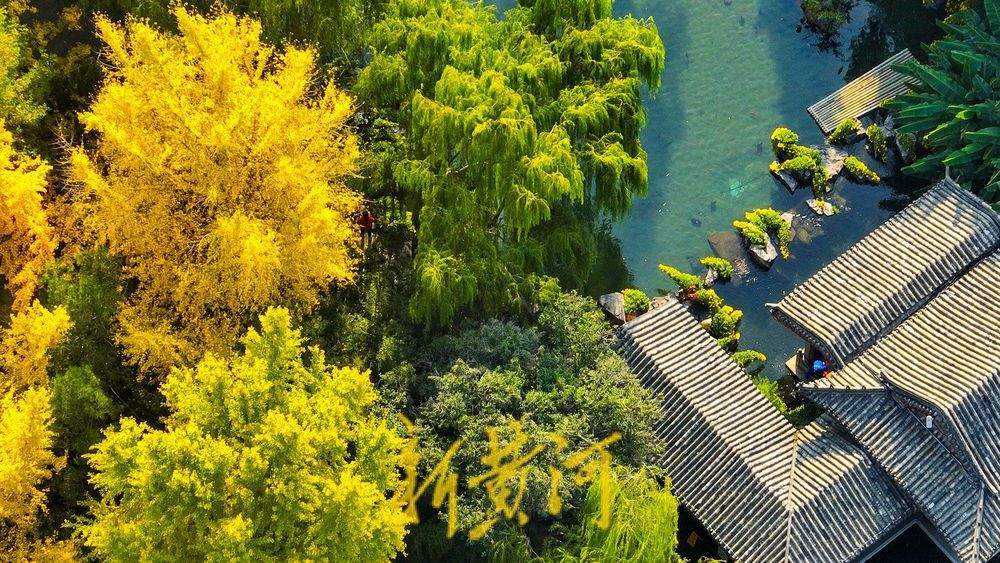 济南趵突泉公园开启变色模式，层林浸染触摸诗情画意