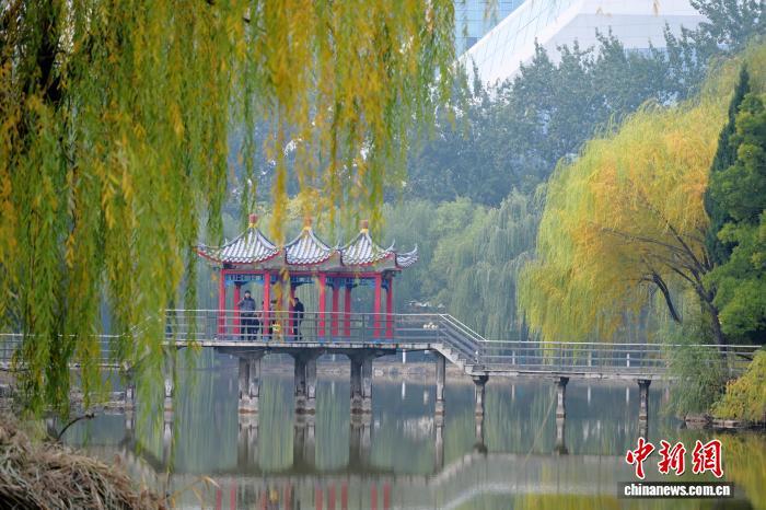 11月5日，河北石家庄街边一公园，民众赏秋景、拍美照，尽享秋日惬意。中新社记者 翟羽佳 摄