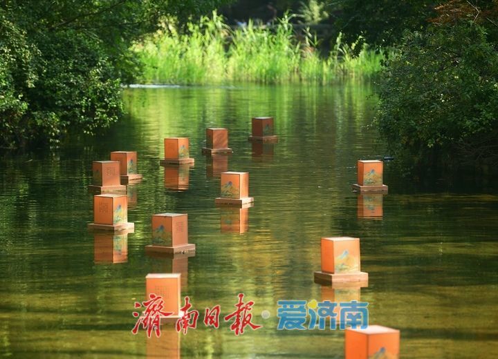 花海模式已开启，趵突泉菊展最佳观赏期来了！