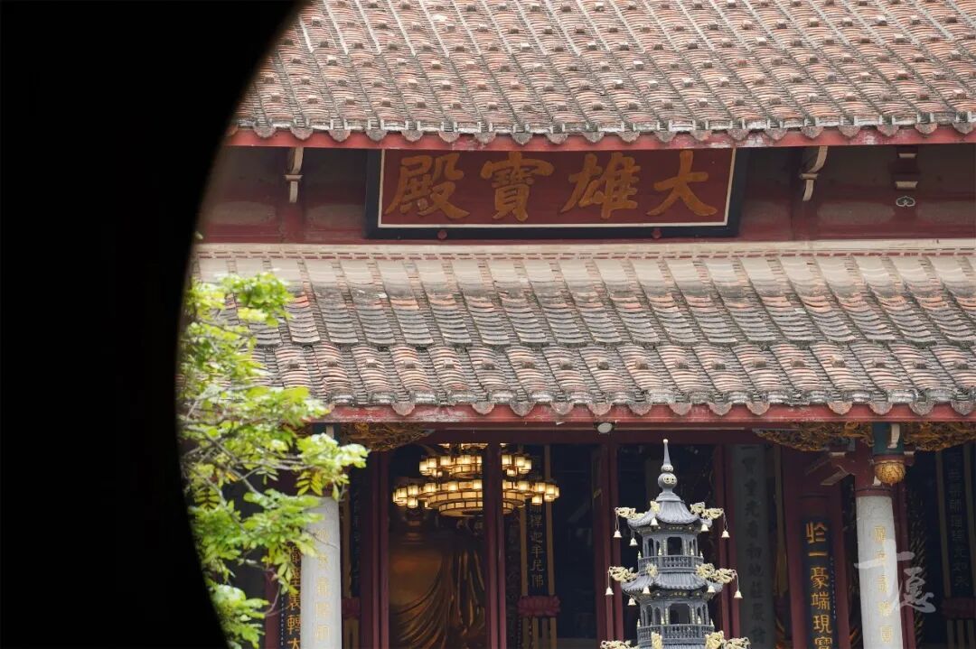 释本性：中国历代高僧从严治教事迹——爱国爱教