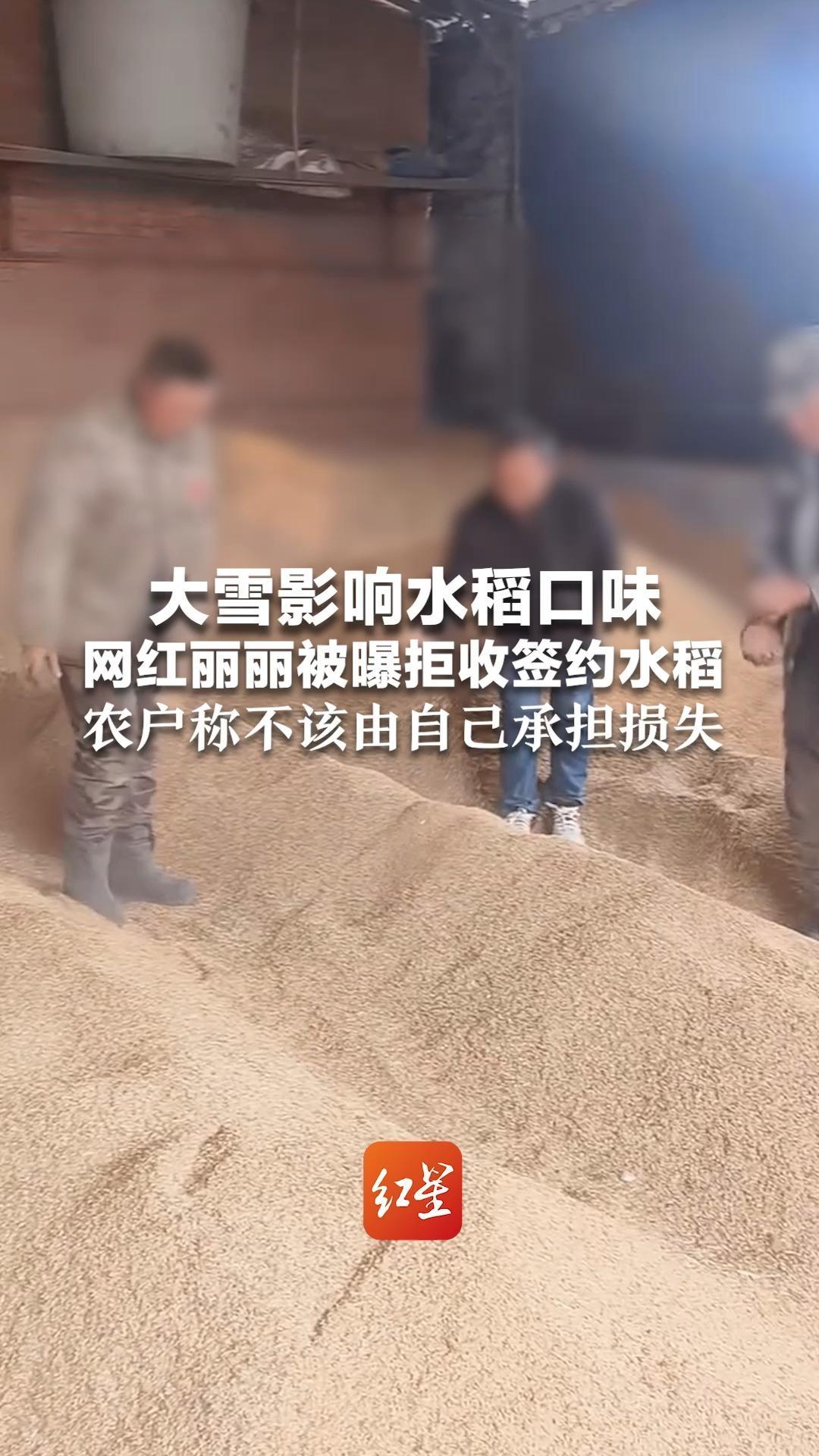 大雪影响水稻口味 网红丽丽被曝拒收签约水稻 农户称不该由自己承担损失 当地镇政府已介入协调