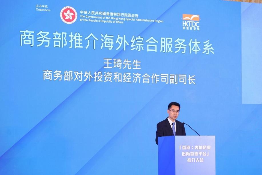 商务部对外投资和经济合作司副司长王琦