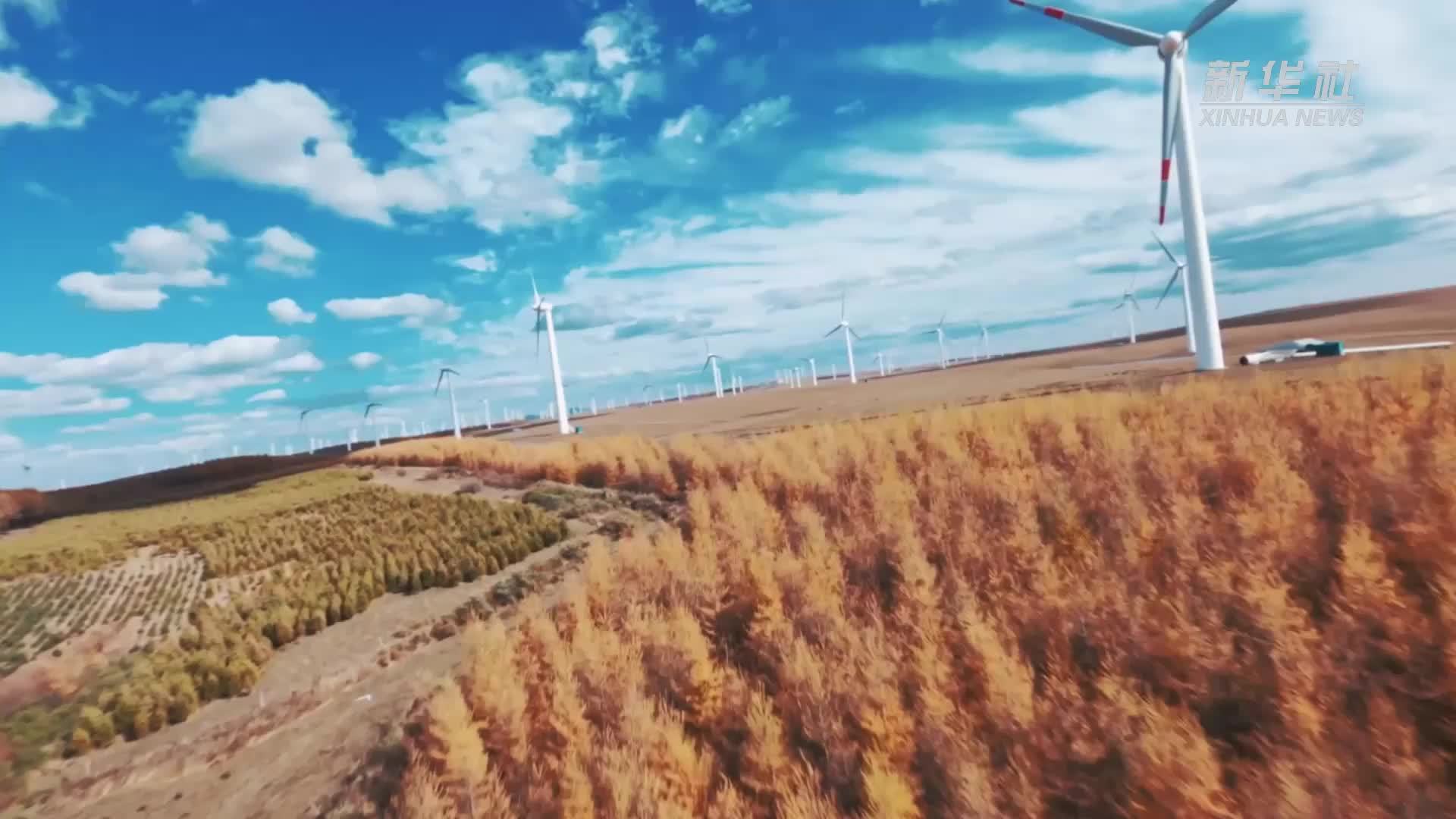 四中全会精神在基层丨创新驱动融合赋能 开拓西部高质量发展新格局