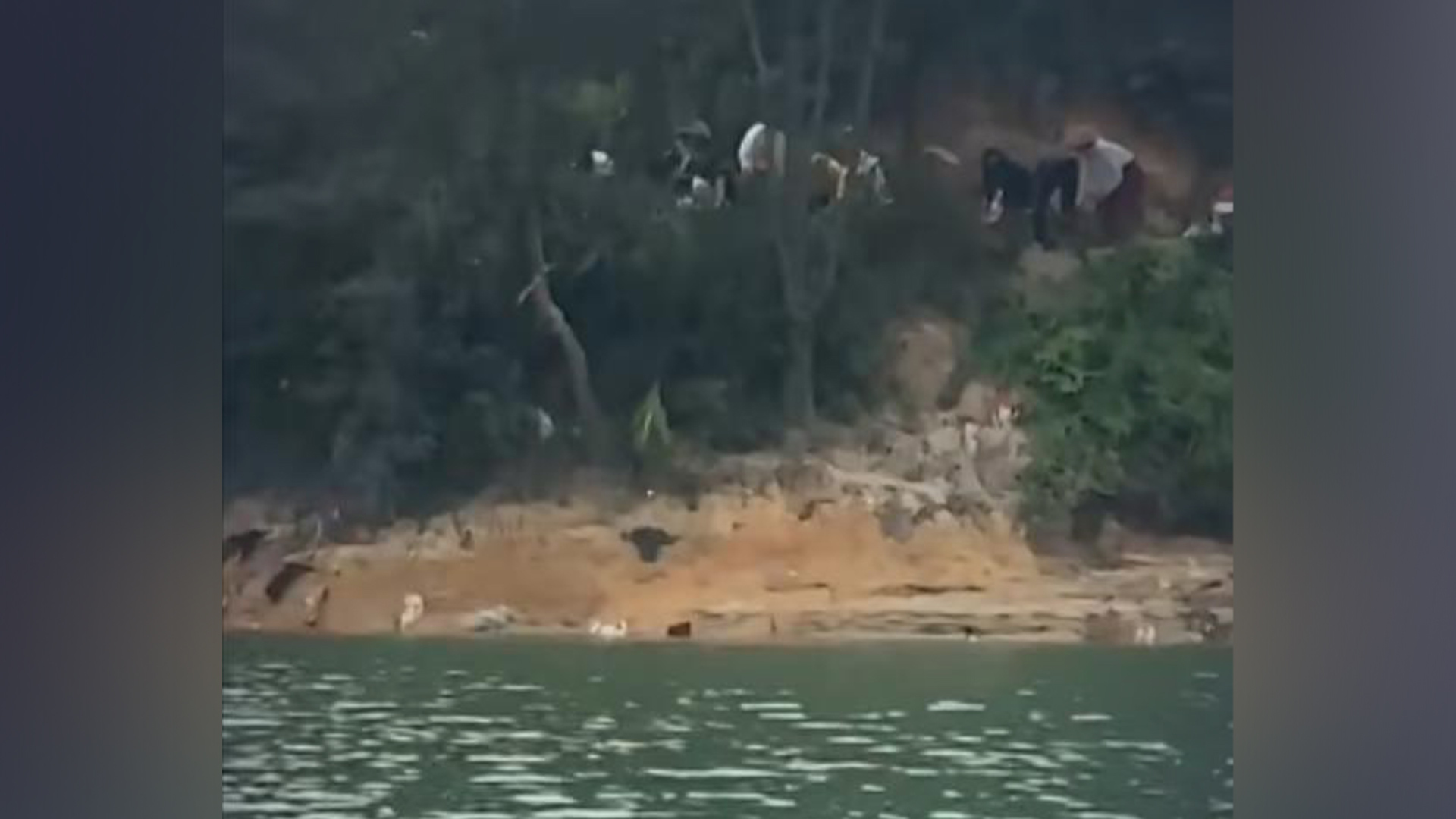 在水库被放生的猫约400只，当地警方调查后称放生动机为祈福非违法犯罪