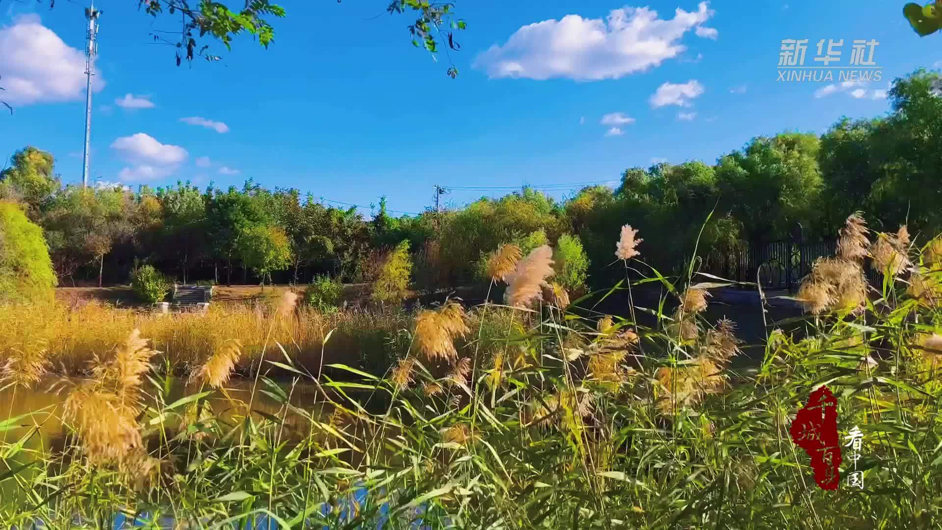 千城百县看中国｜北京顺义：秋色惹人醉