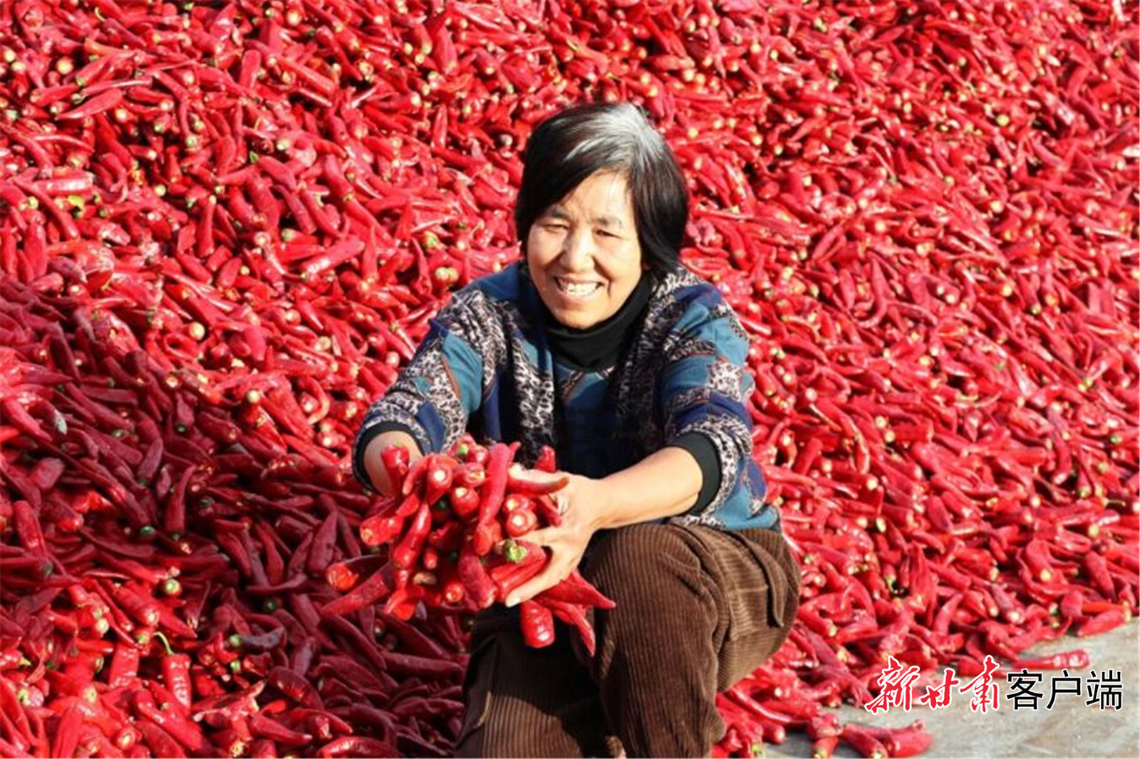 农户在晾晒辣椒