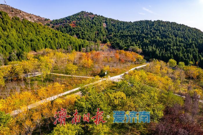 登高赏秋正当时!围子山郊野公园“绚烂”出圈,转身直达“枫”景线