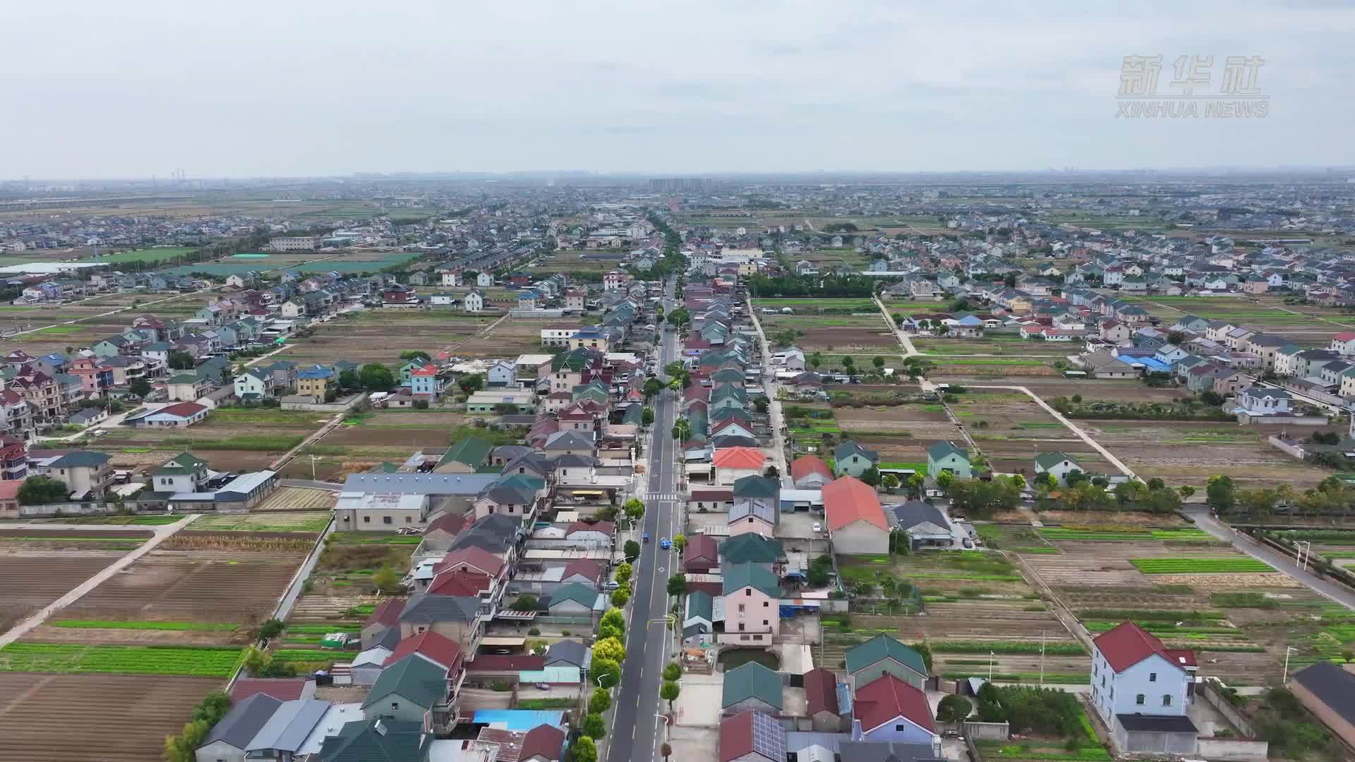 浙江宁波：“共享电工”为村民解忧