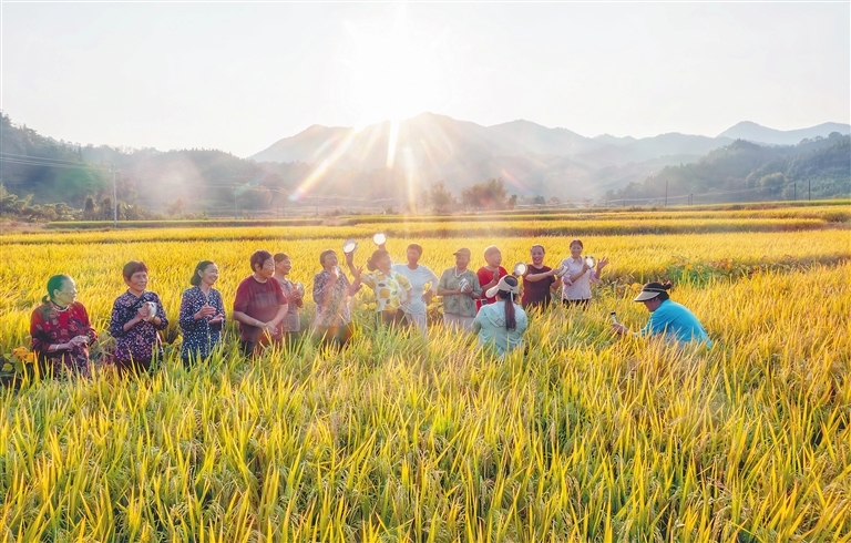 10月10日，峡江县桐林乡庙口村，“庙口妈妈”们在稻田里拍摄短视频。她们翩翩起舞，笑容灿烂，乡村老人的新生活如此美好。