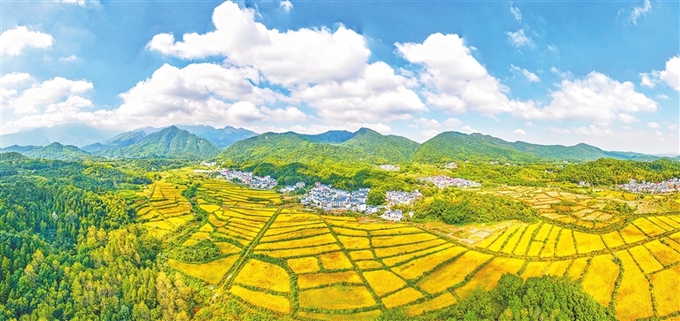 庐山脚下绘丰年（图）