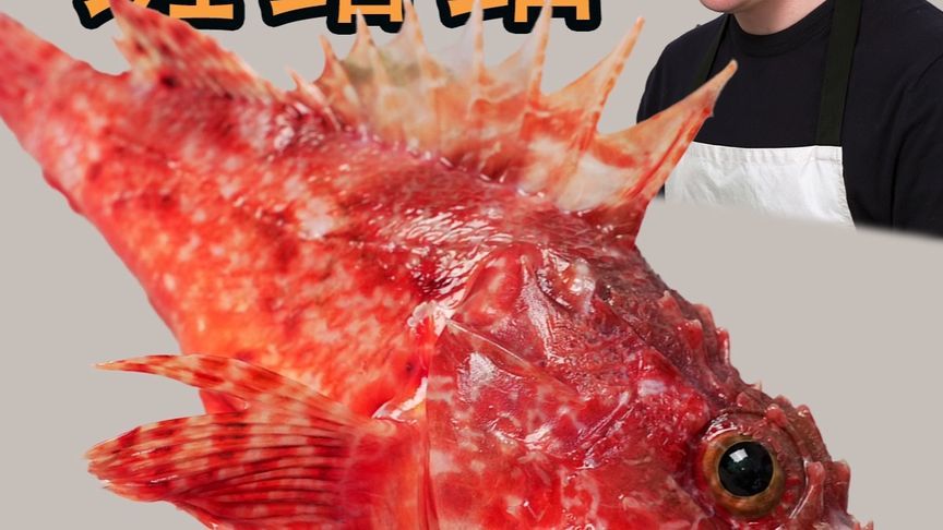 试吃剧毒斑鳍鲉，它好毒，但是肉质鲜嫩我好喜欢