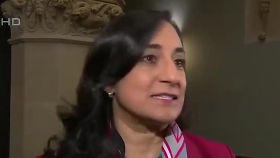 加拿大外长：欢迎中国恢复赴加团队游