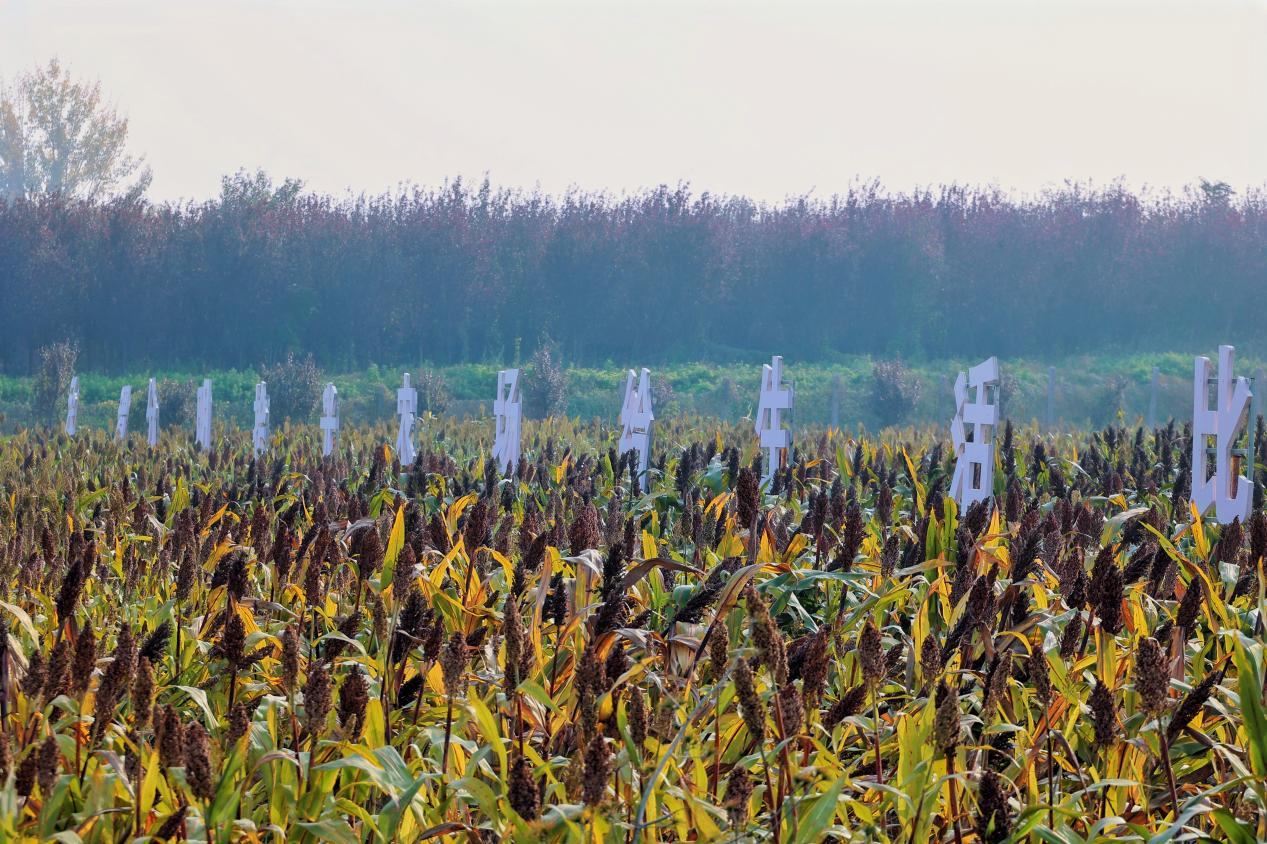 数字兴农遍乡野 智惠乡村启新程——西安市召开数字乡村建设工作推进会