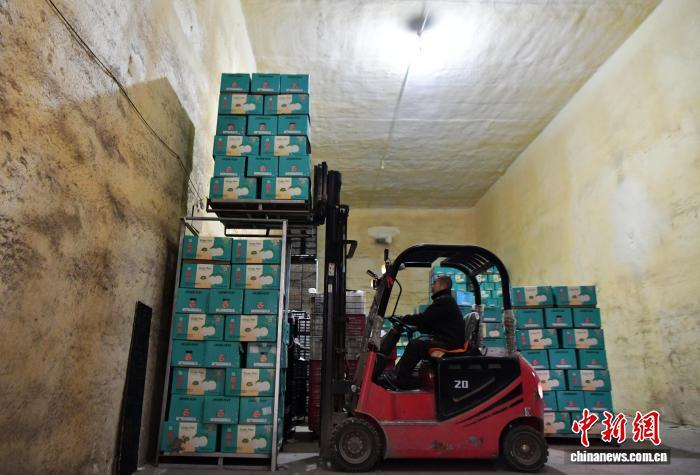 11月6日,中国雪花梨之乡——河北赵县,一家梨果销售企业的工作人员正在搬运准备发往泰国的梨果。中新社记者 翟羽佳 摄