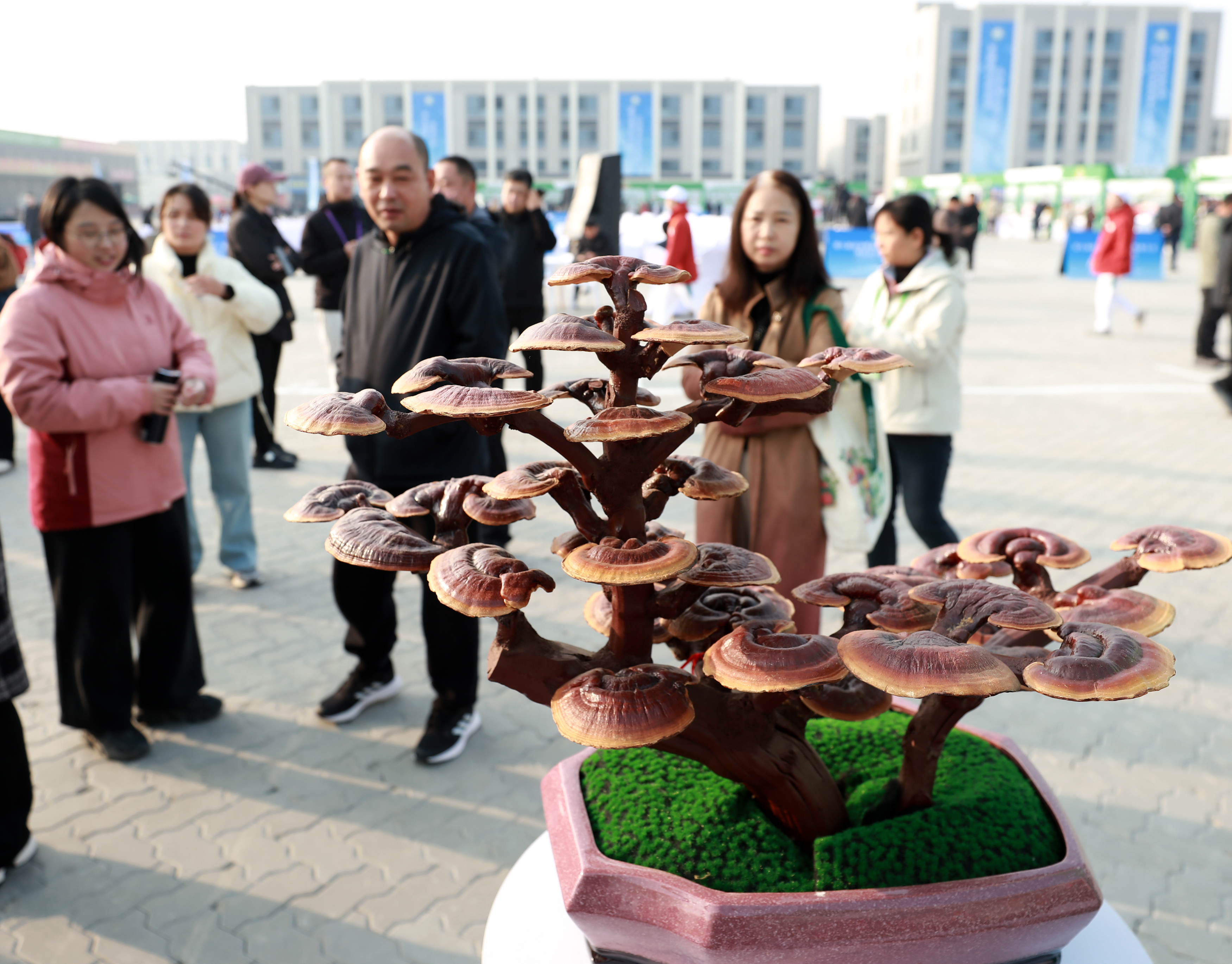 11月4日，参会客商参观衡水本地特色产品。陈月振 摄