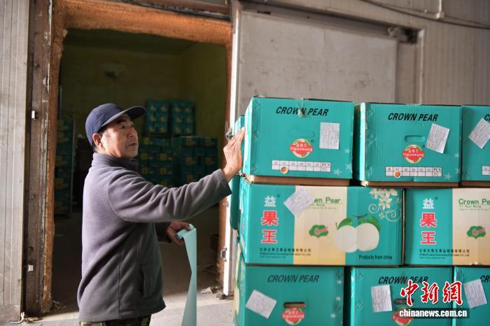 11月6日,中国雪花梨之乡——河北赵县,一家梨果销售企业的工作人员正在粘贴出口货物标签。中新社记者 翟羽佳 摄