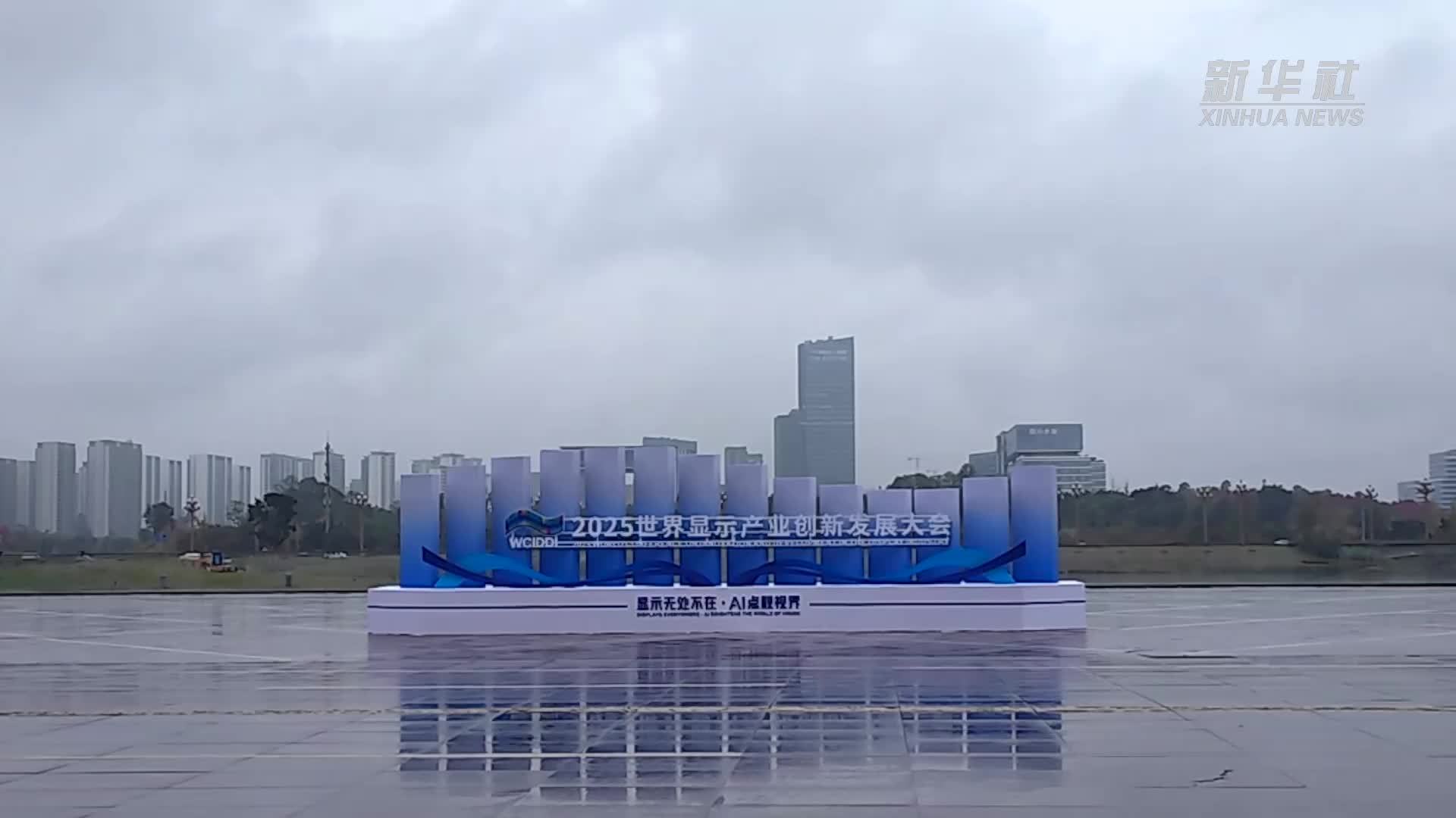 2025世界显示产业创新发展大会在四川成都举行