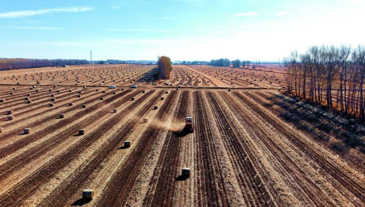 公主岭的秋日美如画