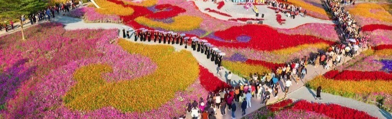 文化活水润香山：中山“百千万工程”三年文化破局图鉴