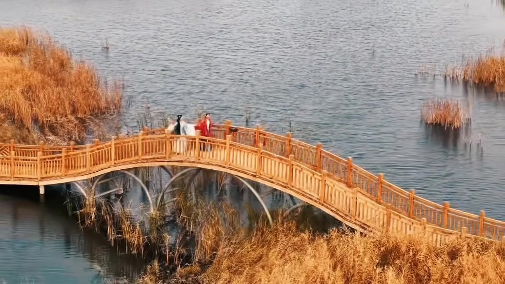 祁连苇海的秋美得嘞　你品你细品