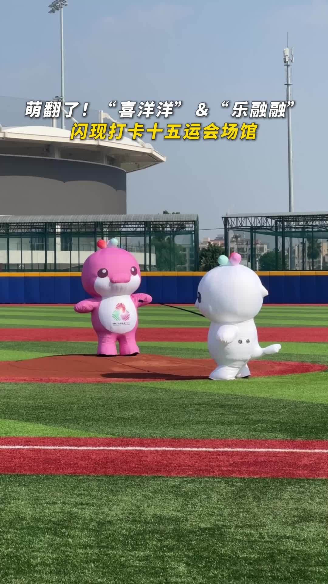 视频｜萌翻了！吉祥物带你闪现十五运会场馆