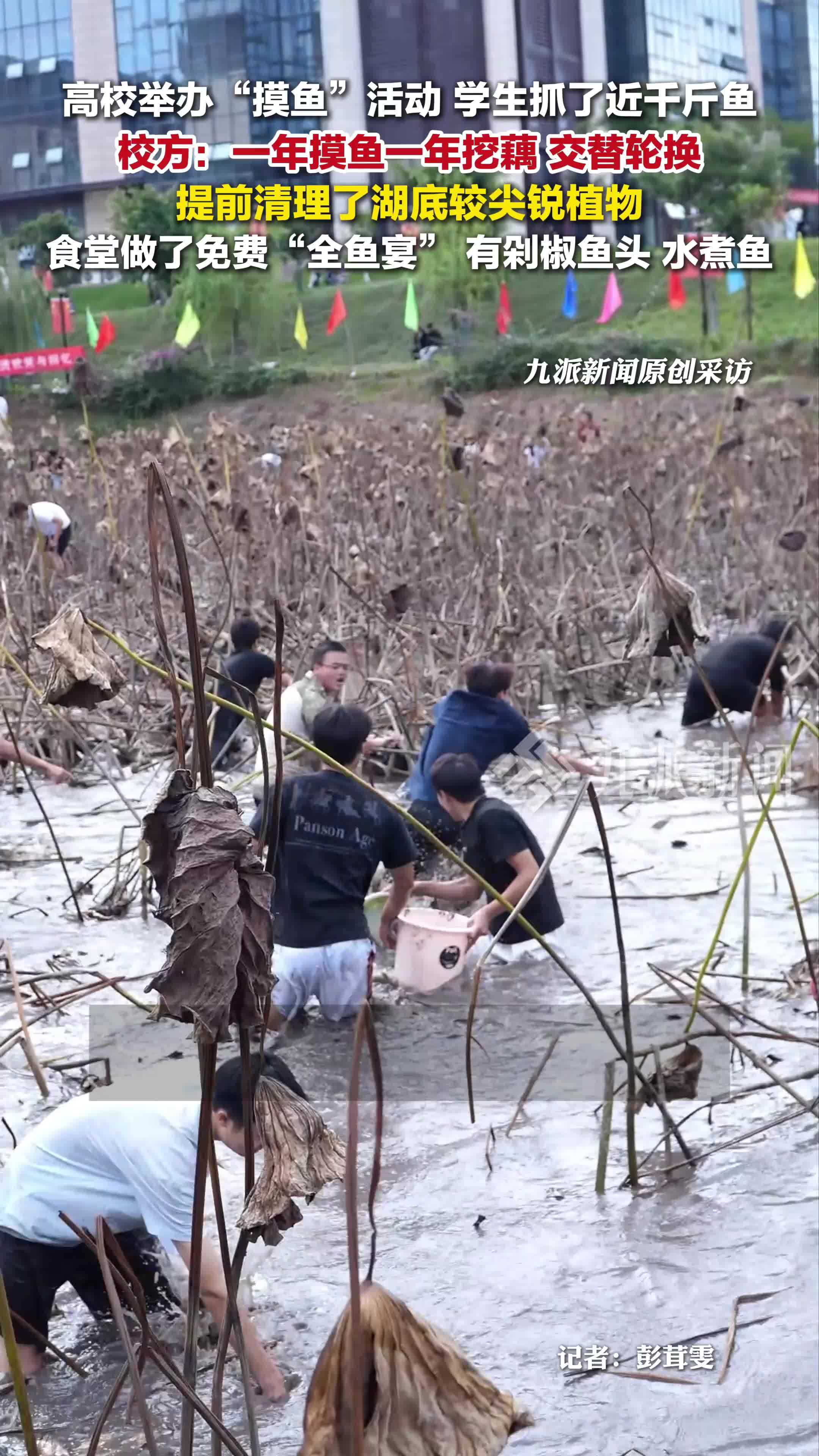 校方回应举办摸鱼活动：学生抓了近千斤鱼，食堂做了免费“全鱼宴”