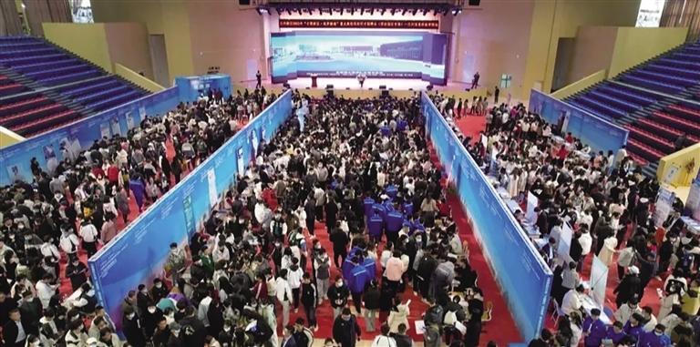 新区人才招聘会