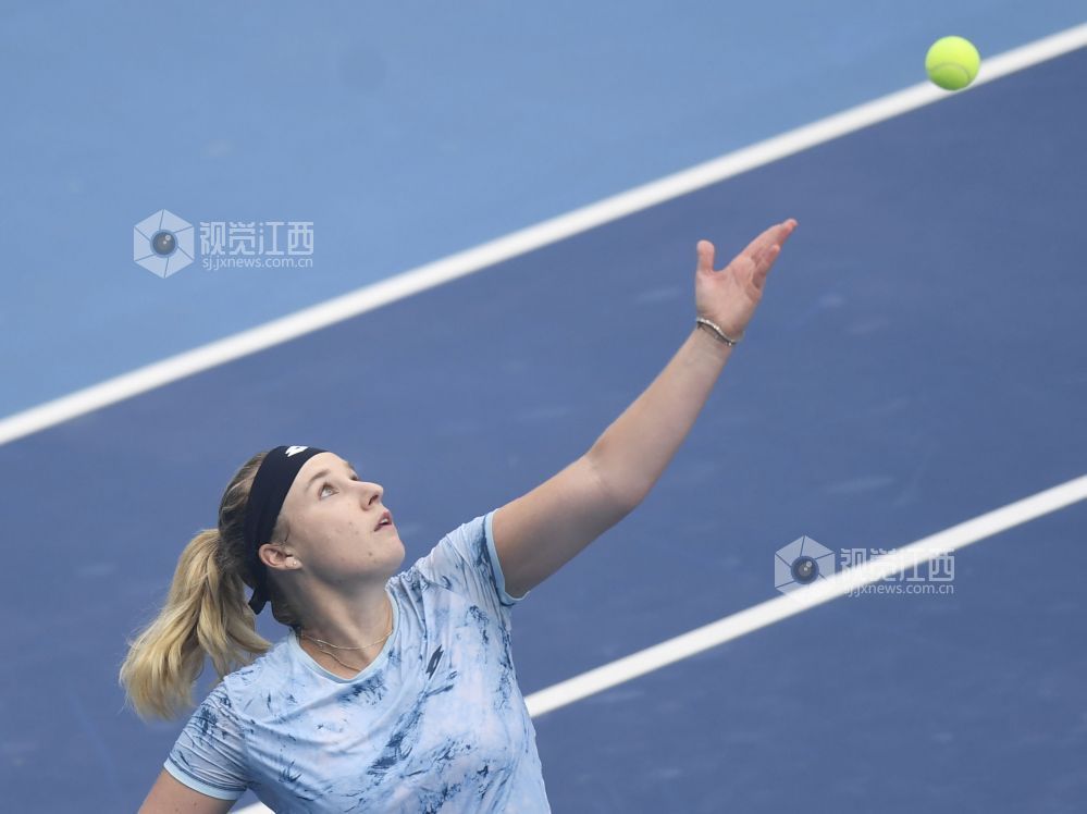 安娜&middot;布林科娃在比赛中发球。