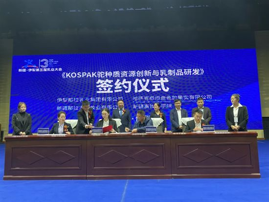 点击查看原始图片