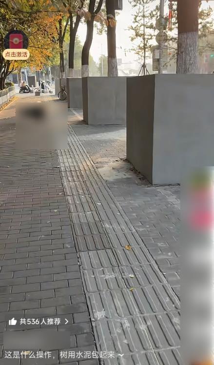 西安市民发布的视频(图源:网络)