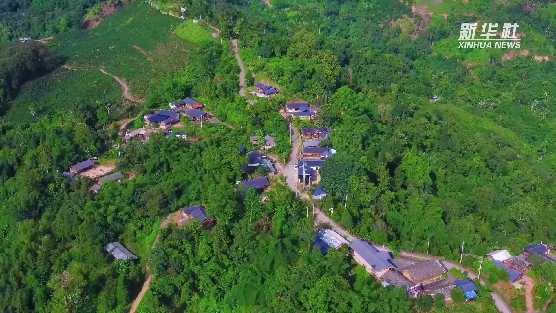云南盈江：用观鸟和暖冬优势带动旅居