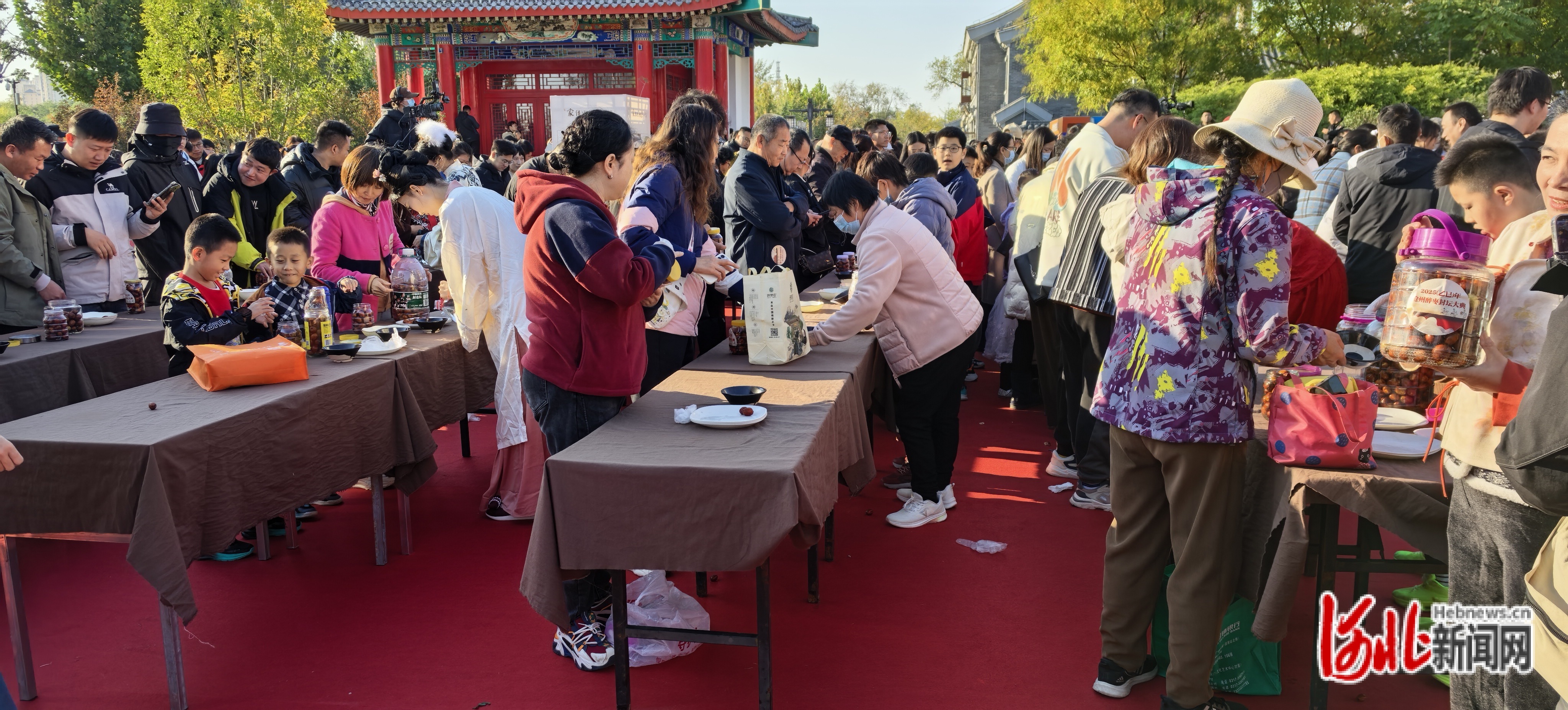 在“千人同醉”醉枣封坛大典活动中,沧州市民制作醉枣。河北日报记者戴绍志摄
