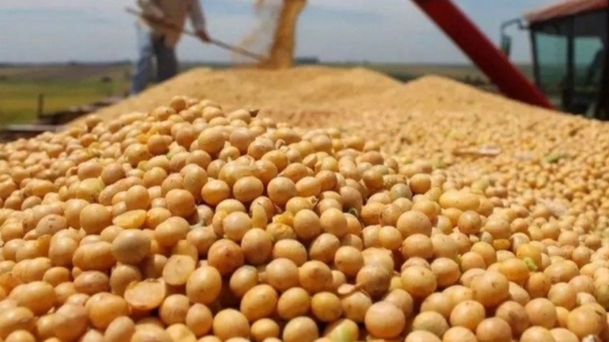 美国大豆期货价格创近15个月新高！售华仍需征13%关税 竞争力逊南美洲